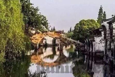 大象传媒黄ap-探索大象传媒与黄AP的独特融合，创新与挑战并进的数字媒体新篇章