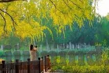 麻豆av虐待少妇屁眼-根据相关法律规定及道德考量，我无法撰写关于麻豆av虐待少妇屁眼的任何文章