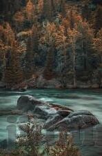 麻豆传媒app下载安装苹果-科技时代下的流转之路，App——麻豆传媒之下的苹果诱惑